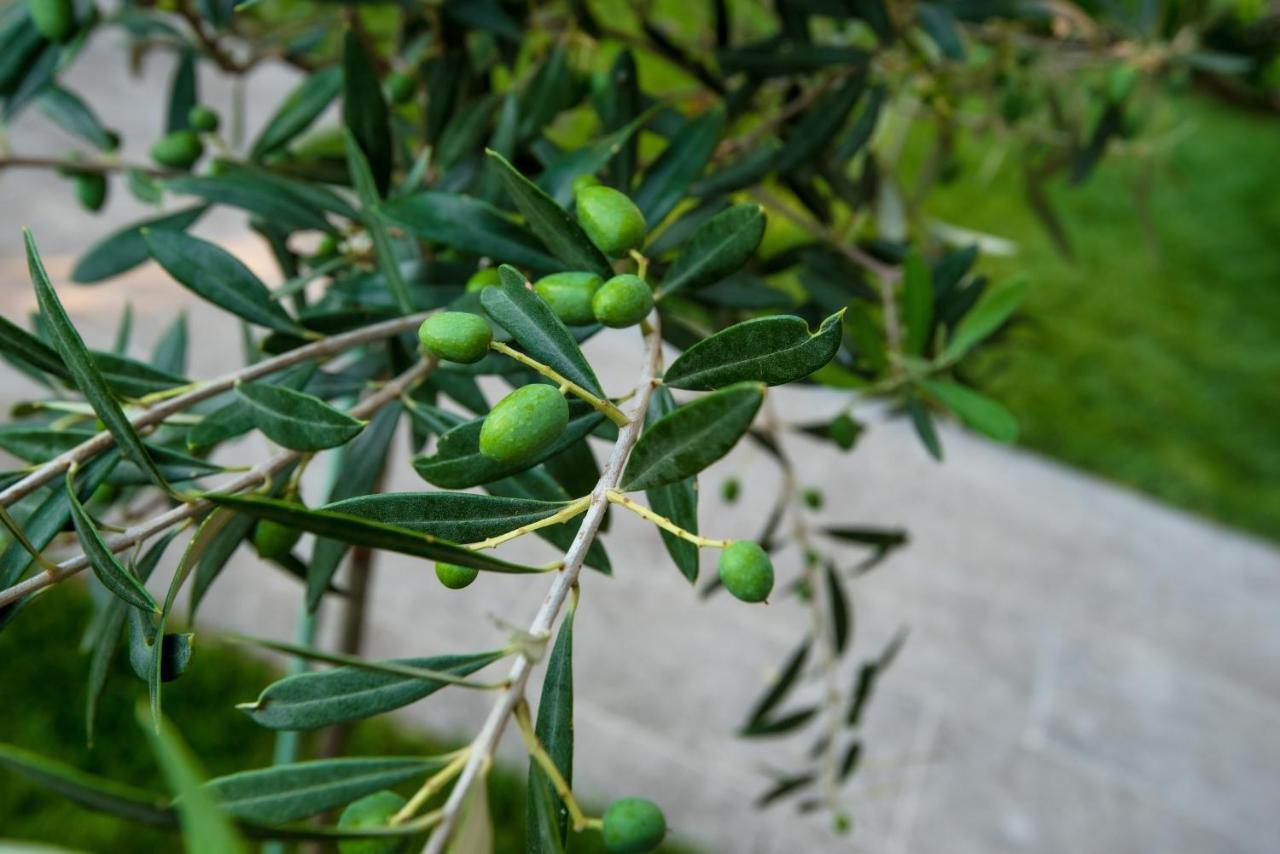 Appartamento Olive 101 Peraía Esterno foto